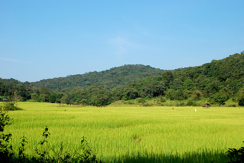 Anshi National Park